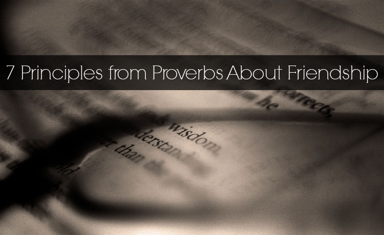 7 Principles From Proverbs About Friendship