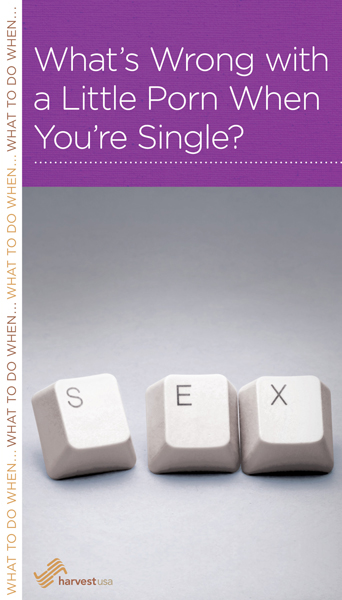Single Porn - What's Wrong with a Little Porn When You're Single? - Harvest USA Book