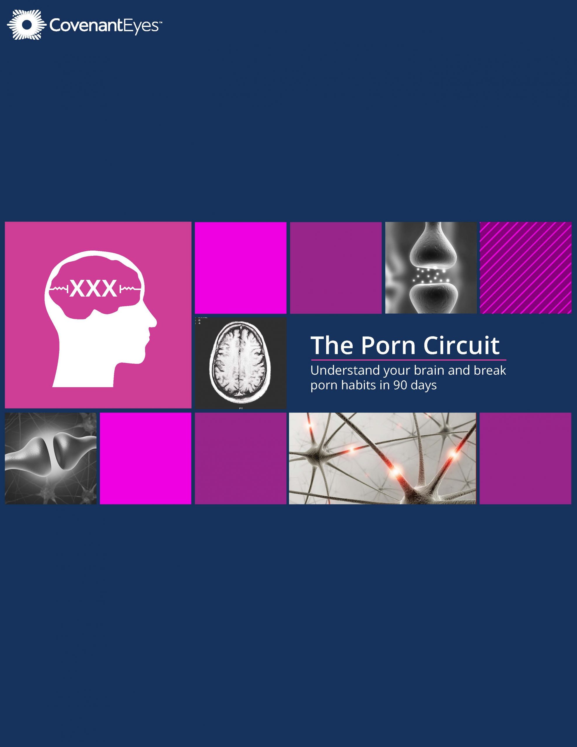 The porn circuit