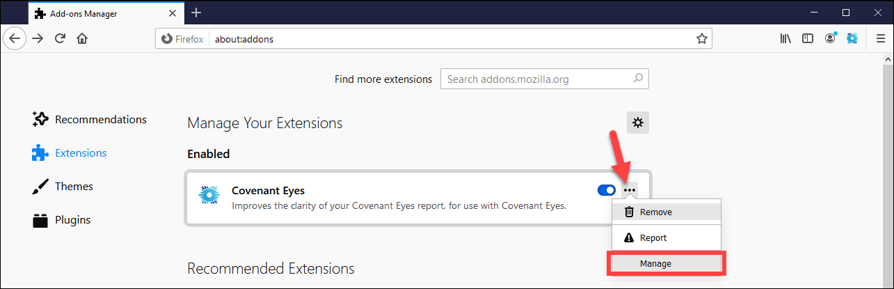 safari extension covenant eyes